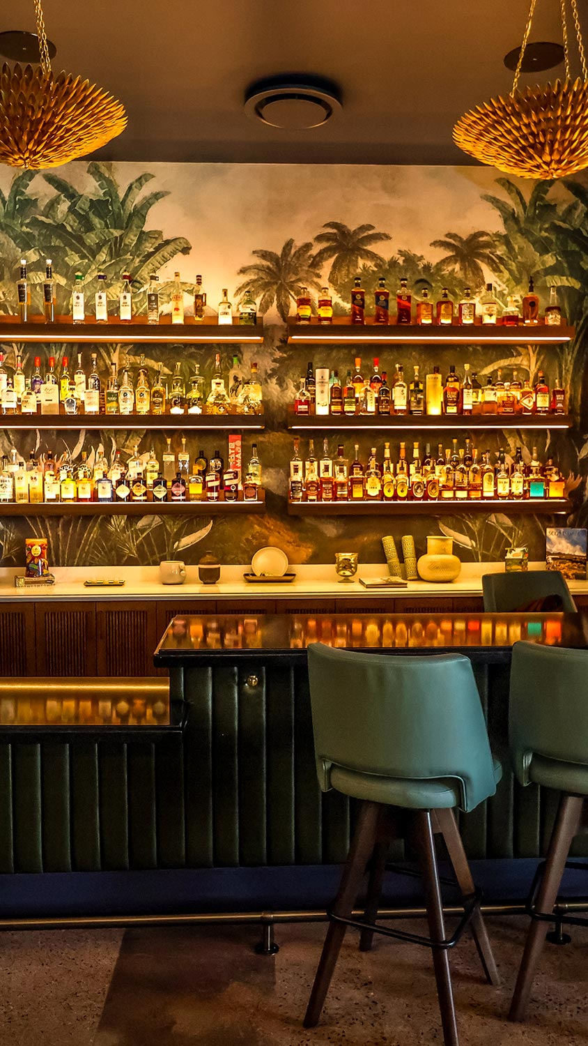 Well-lit upscale bar with tropical wallpaper and liquor shelves